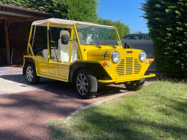 No smoke mini moke  em motive 10 kw flower power garantie pro 12 mois occasion simplicicar royan simplicicar simplicibike...