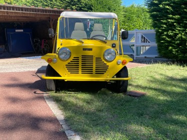 No smoke mini moke  em motive 10 kw flower power garantie pro 12 mois occasion simplicicar royan simplicicar simplicibike...